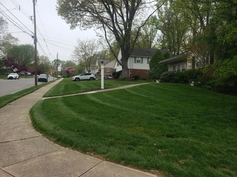Custom lawn care service in Clifton Heights, PA - Versatile landscaping