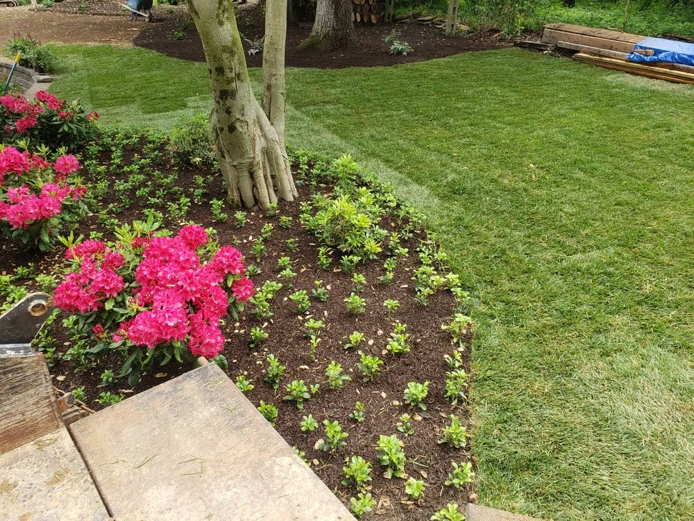 Top-rated yard cleanup service experts serving Clifton Heights, PA - Versatile landscaping