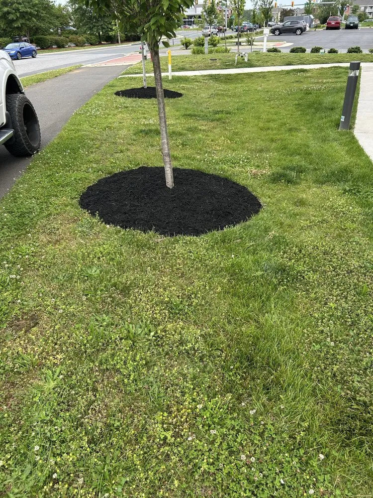 Reliable outdoor landscaping for homes in Fredericksburg, VA by Versatile Lawn Care