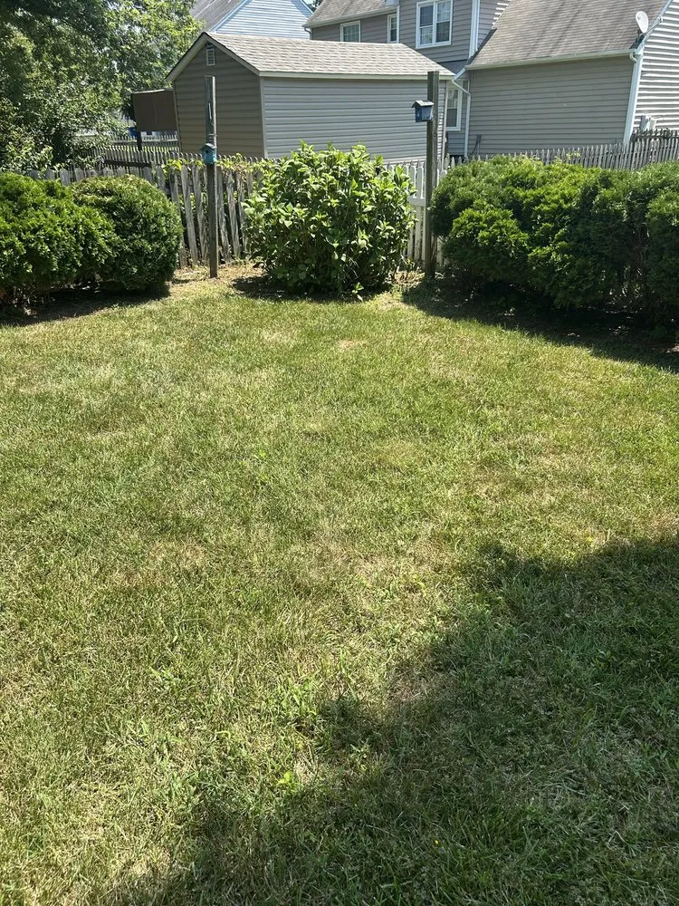 Expert outdoor landscaping in Fredericksburg, VA by Versatile Lawn Care