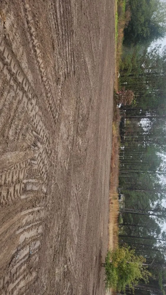 Affordable residential landscaping in Fayetteville, NC - Versatile Outdoor Construction