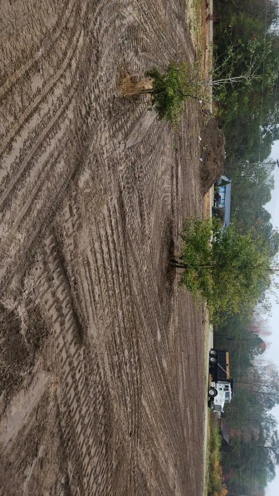 Affordable yard maintenance for year-round maintenance across Fayetteville, NC - Versatile Outdoor Construction