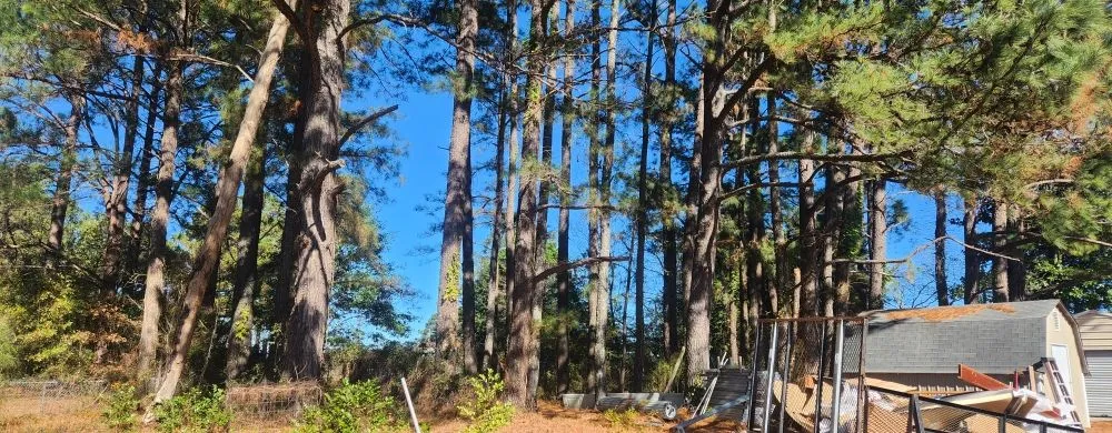 Trusted yard cleanup service for outdoor upgrades across Fayetteville, NC - Versatile Outdoor Construction