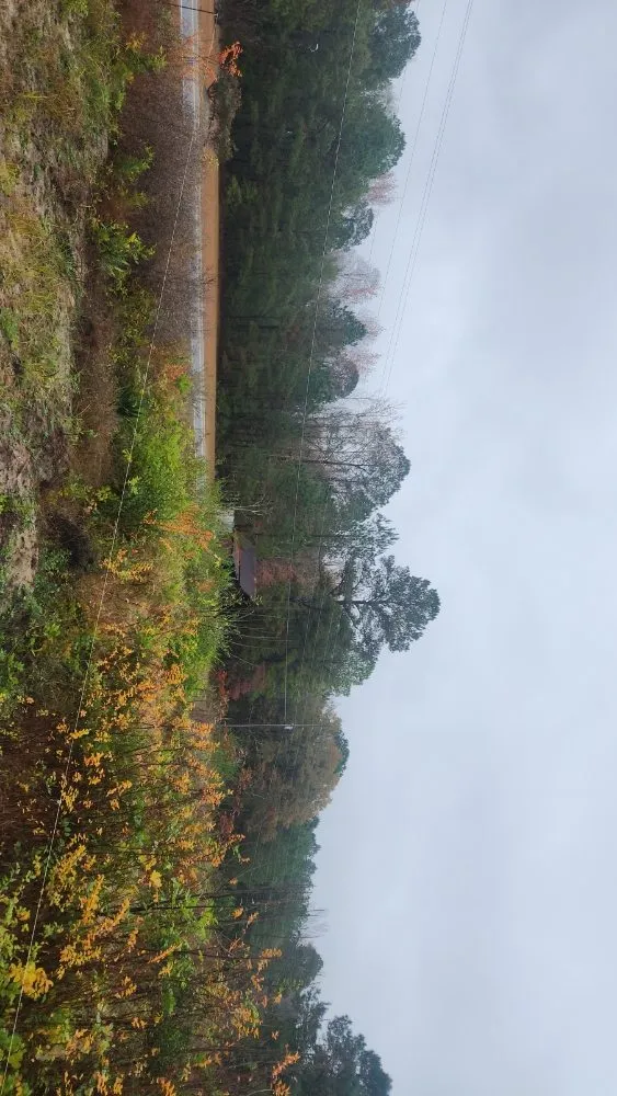 Trusted yard cleanup service in Fayetteville, NC - Versatile Outdoor Construction