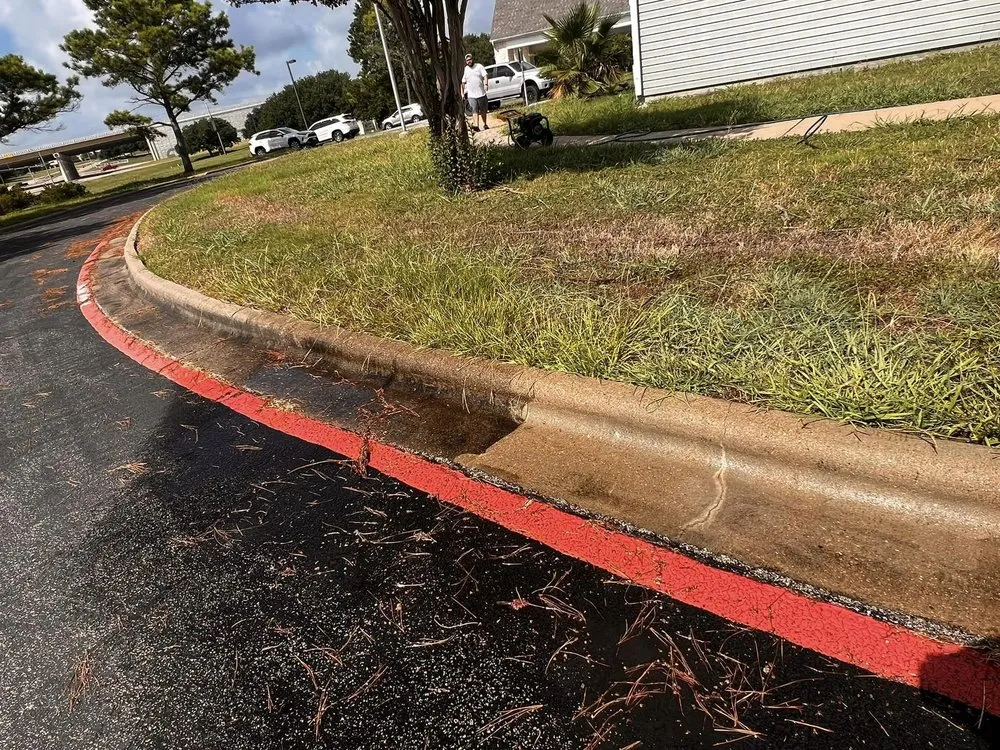 Top-rated outdoor landscaping in San Antonio, TX by Versatile Yard Appeal