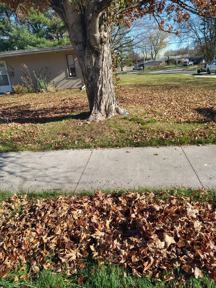 Top-rated residential landscaping in Columbus, OH - Versatility