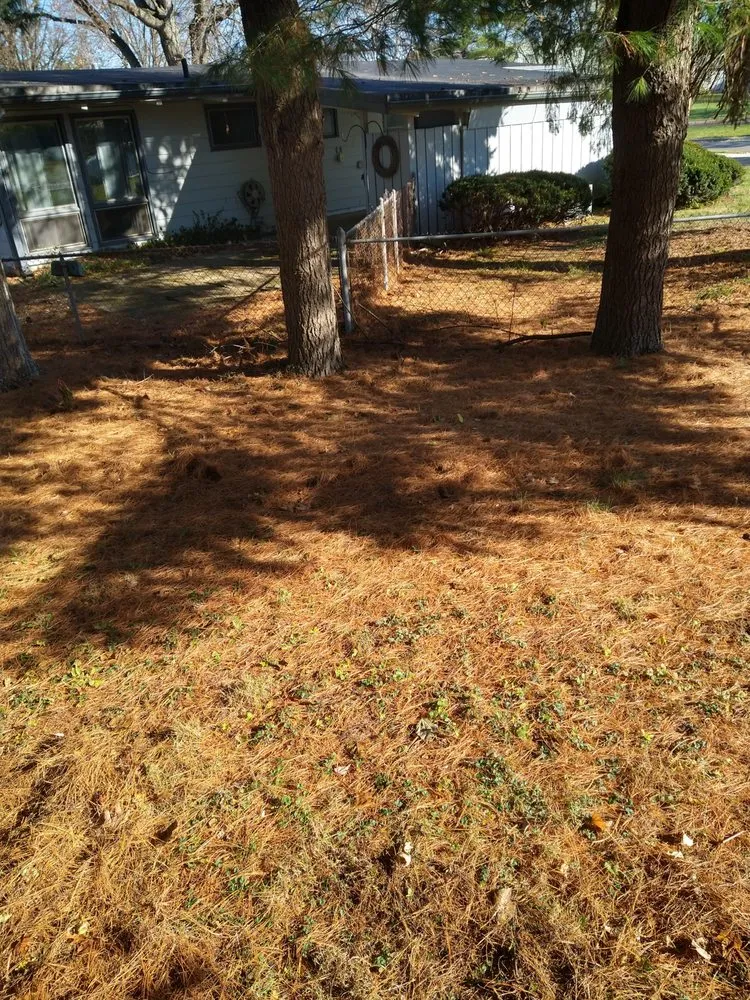 Local yard cleanup service in Columbus, OH by Versatility