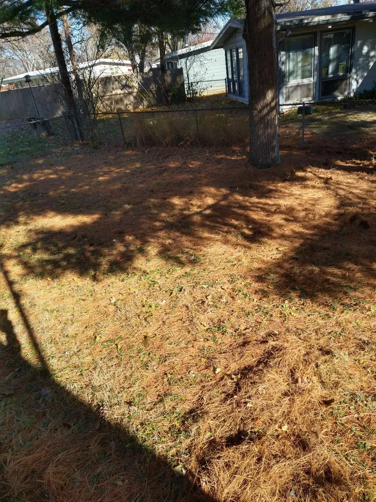 Expert lawn mowing service in Columbus, OH by Versatility