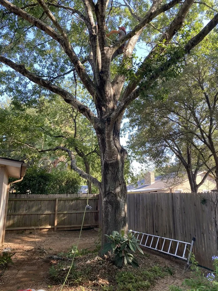 Expert yard cleanup service in Spring Branch, TX - Versatility Mills and Land Improvement