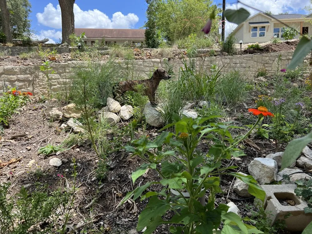 Affordable residential landscaping in Spring Branch, TX - Versatility Mills and Land Improvement