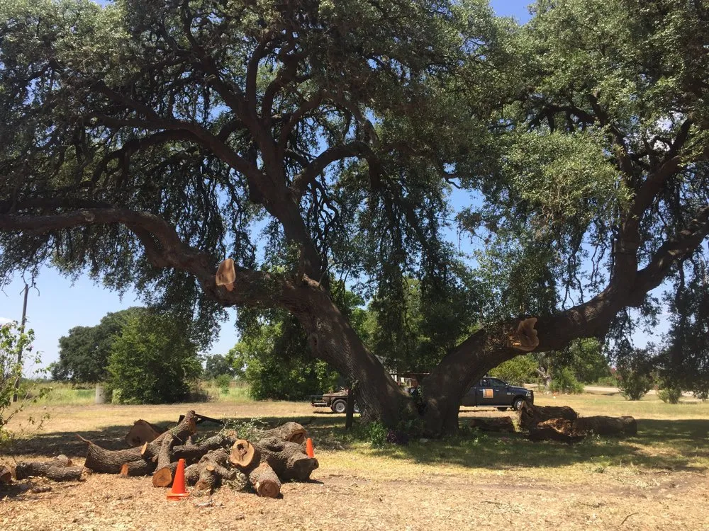 Professional yard cleanup service near you across Spring Branch, TX - Versatility Mills and Land Improvement