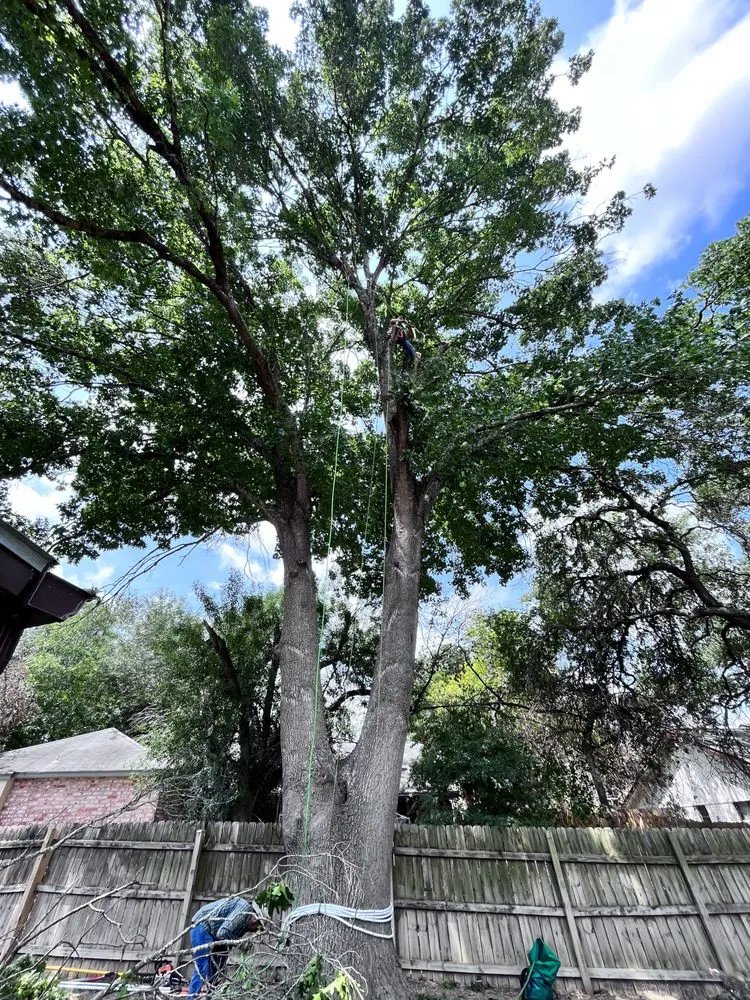Trusted landscape installation for homes across Spring Branch, TX - Versatility Mills and Land Improvement