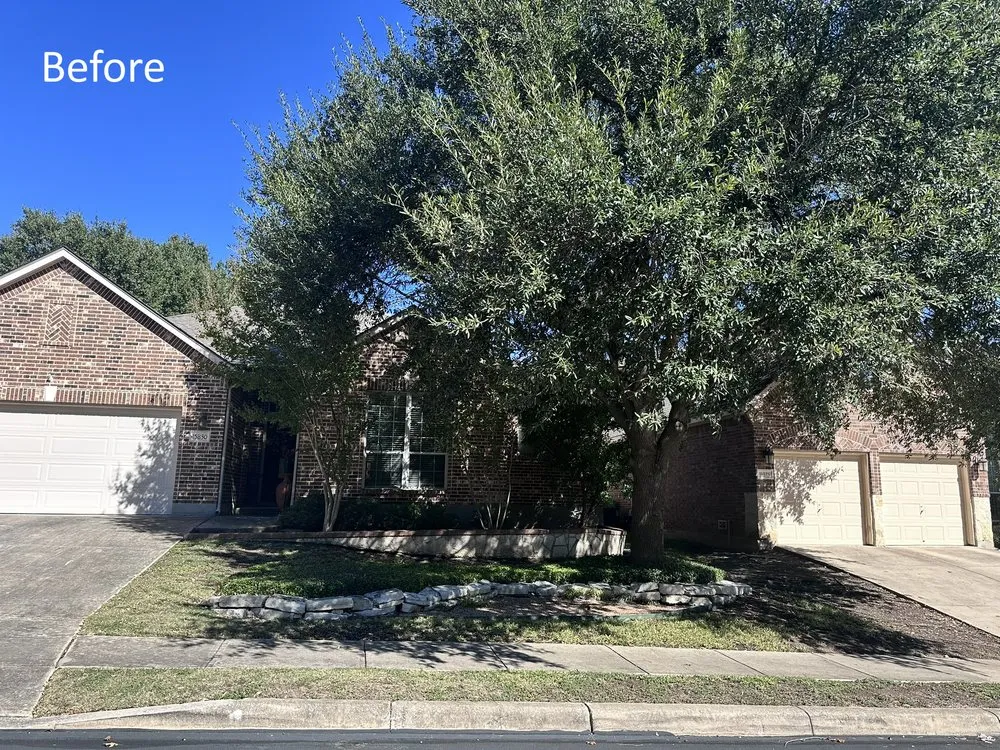 Expert landscaping services experts serving Spring Branch, TX - Versatility Mills and Land Improvement