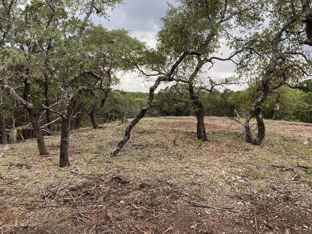 Reliable outdoor landscaping in Spring Branch, TX by Versatility Mills and Land Improvement