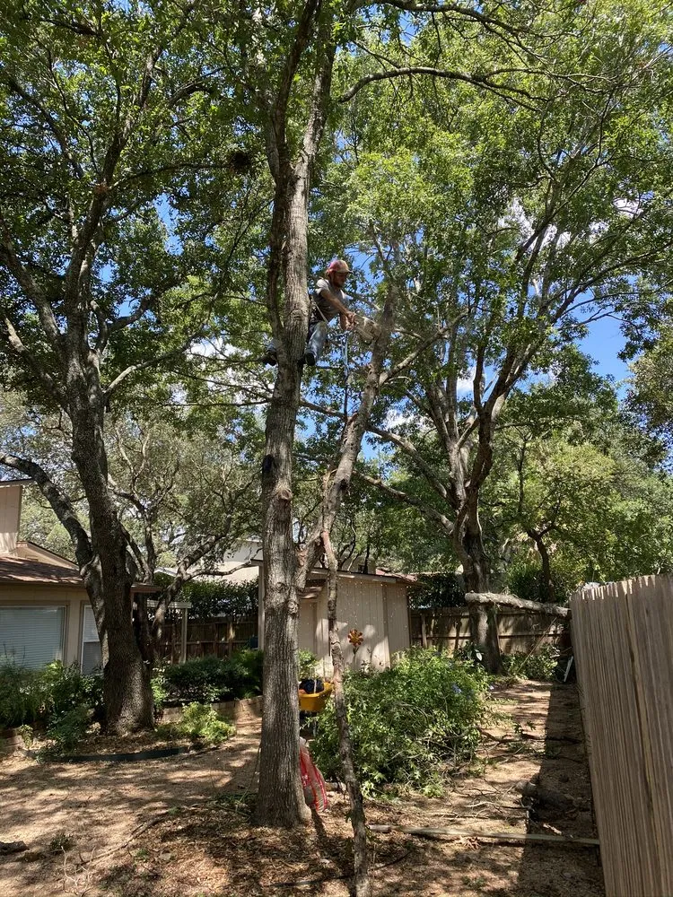 Expert lawn care service for residential properties in Spring Branch, TX by Versatility Mills and Land Improvement