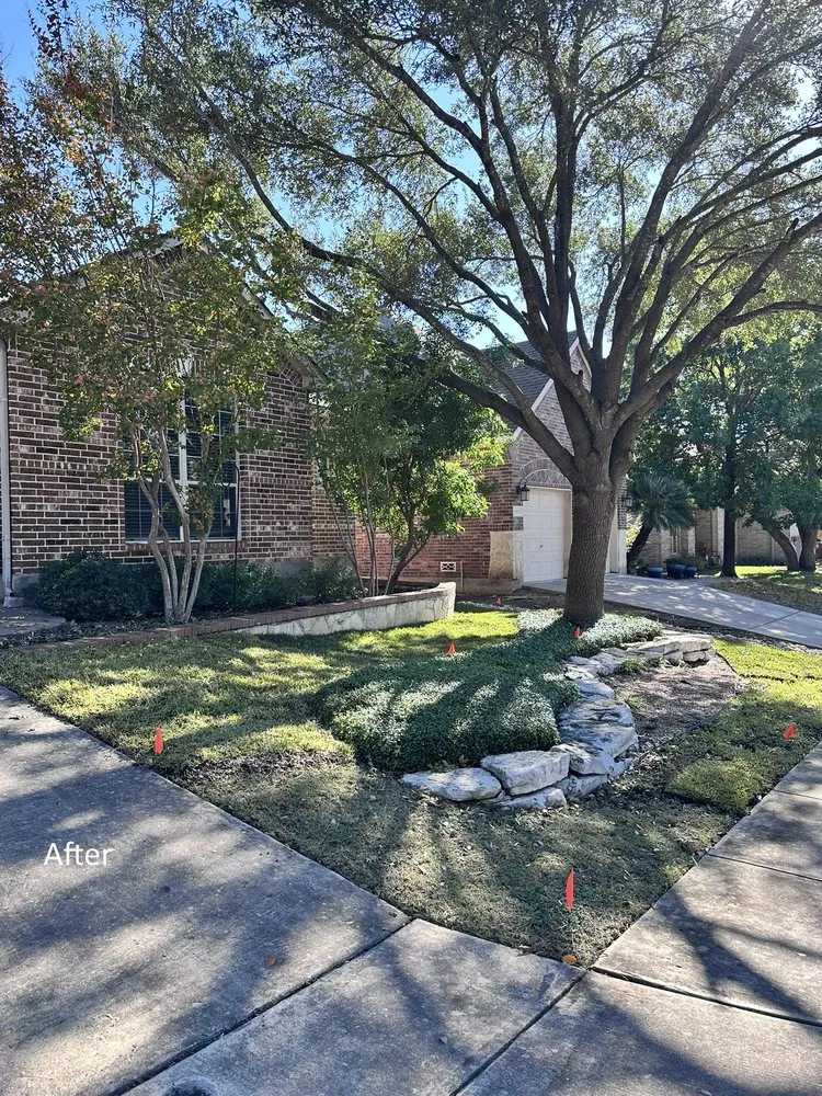 Professional yard cleanup service with custom design in Spring Branch, TX by Versatility Mills and Land Improvement