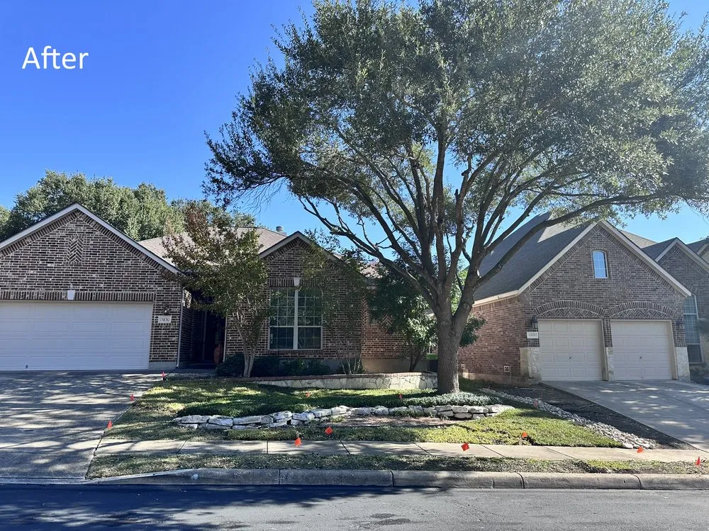 Trusted lawn mowing service for year-round maintenance in Spring Branch, TX by Versatility Mills and Land Improvement