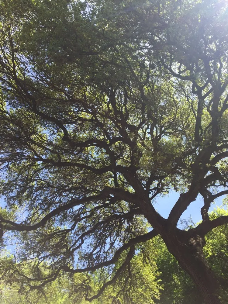 Expert garden landscaping with custom design across Spring Branch, TX - Versatility Mills and Land Improvement