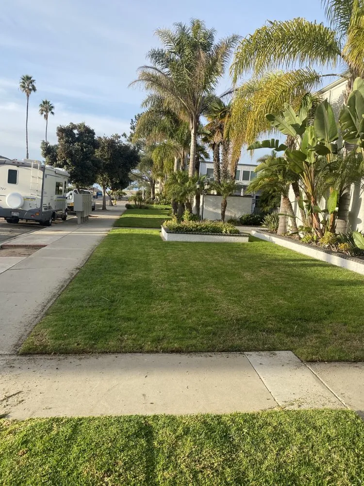 Affordable lawn care service experts serving Santa Barbara, CA - Versola Landscape Maintenance Service