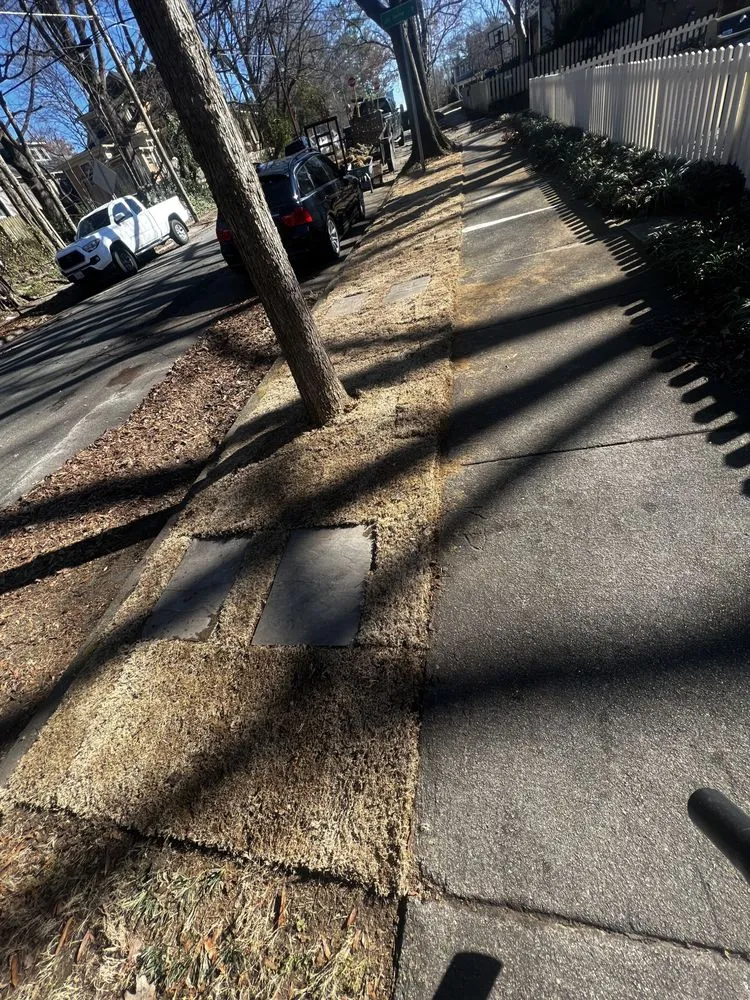 Trusted outdoor landscaping in Durham, NC - Vert life landscaping