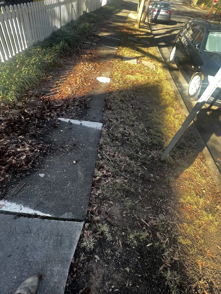 Top-rated lawn care service with custom design in Durham, NC by Vert life landscaping