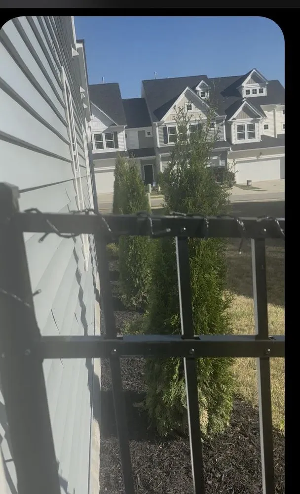 Professional yard cleanup service in Durham, NC by Vert life landscaping