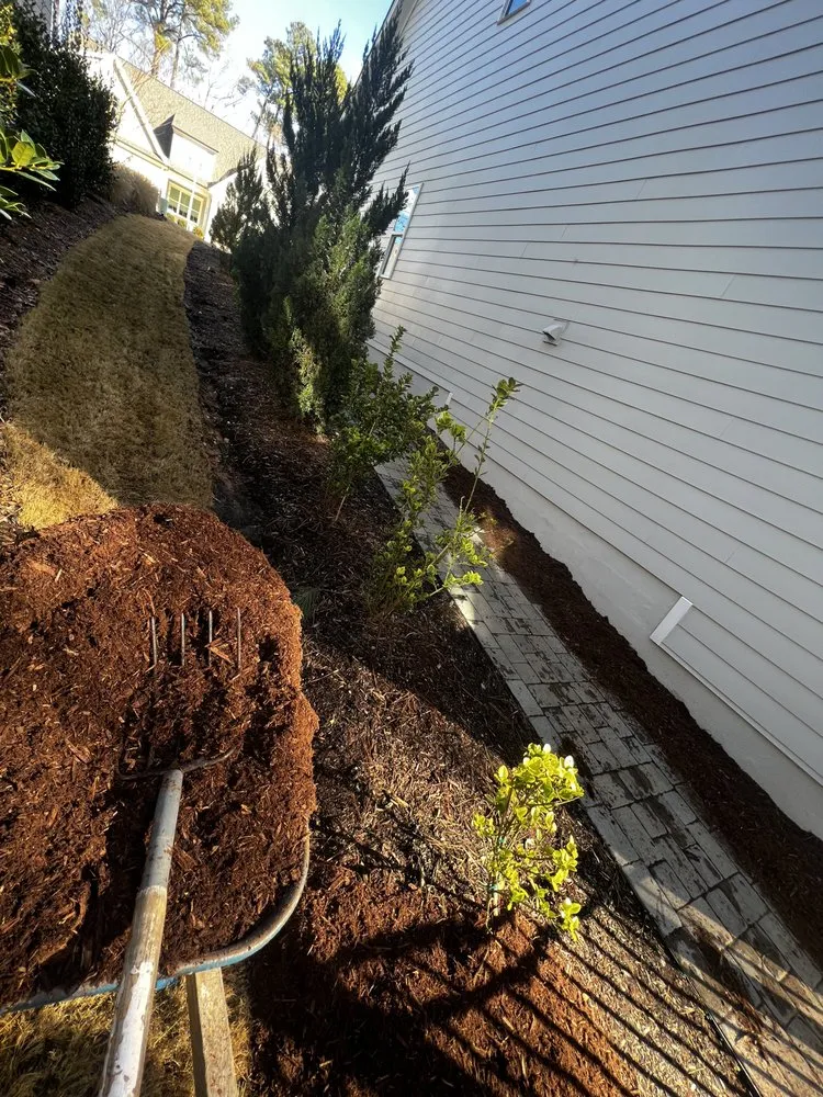 Affordable landscaping services in Durham, NC by Vert life landscaping