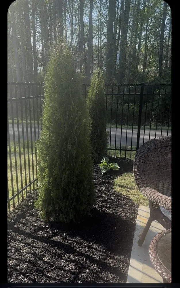Expert lawn care service in Durham, NC - Vert life landscaping