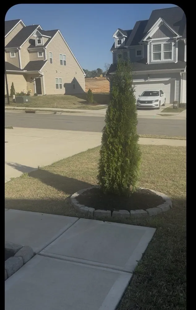 Local yard cleanup service for residential properties across Durham, NC - Vert life landscaping