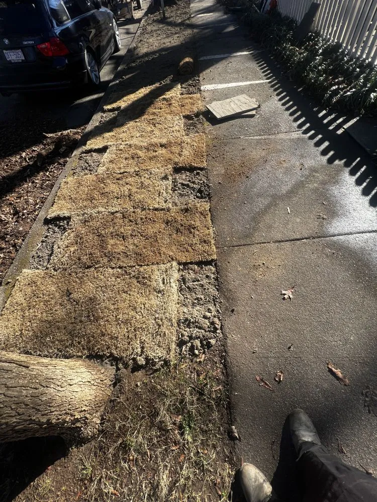 Professional landscape installation experts serving Durham, NC - Vert life landscaping