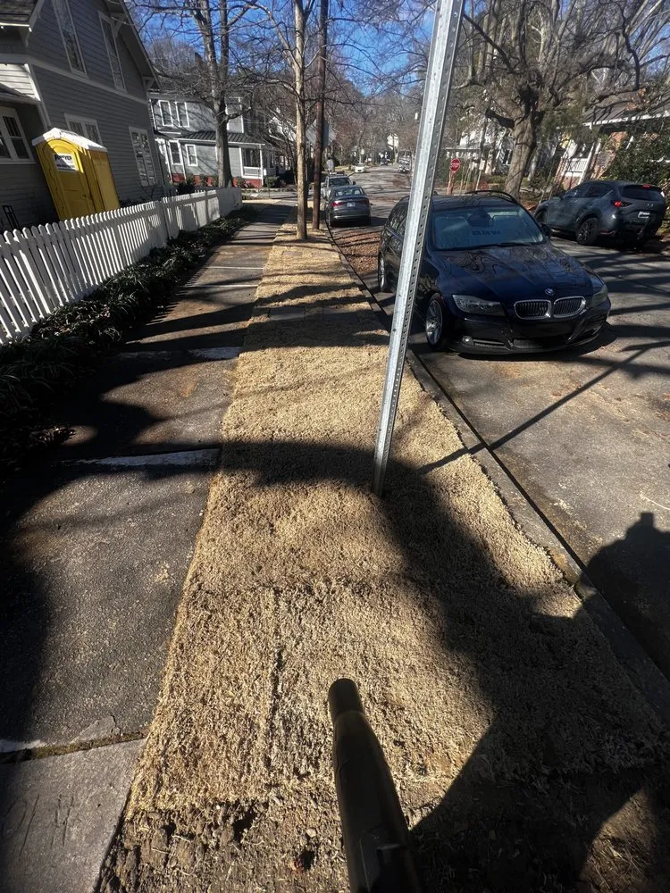 Local yard cleanup service for beautiful yards across Durham, NC - Vert life landscaping