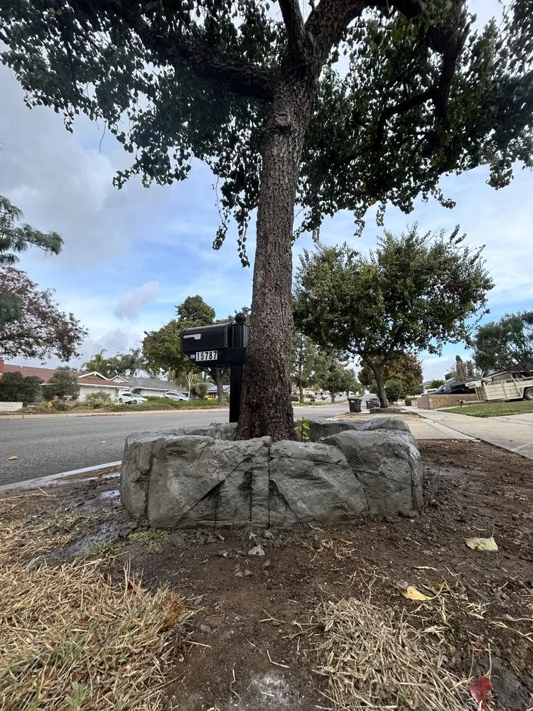 Trusted lawn care service experts serving Riverside, CA - Vertical Styles