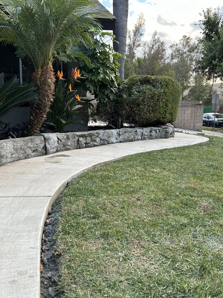 Affordable yard cleanup service in Riverside, CA by Vertical Styles