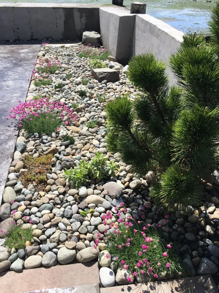 Local landscape installation for outdoor upgrades across Seattle, WA - Vertumni Fine Landscaping & Gardening