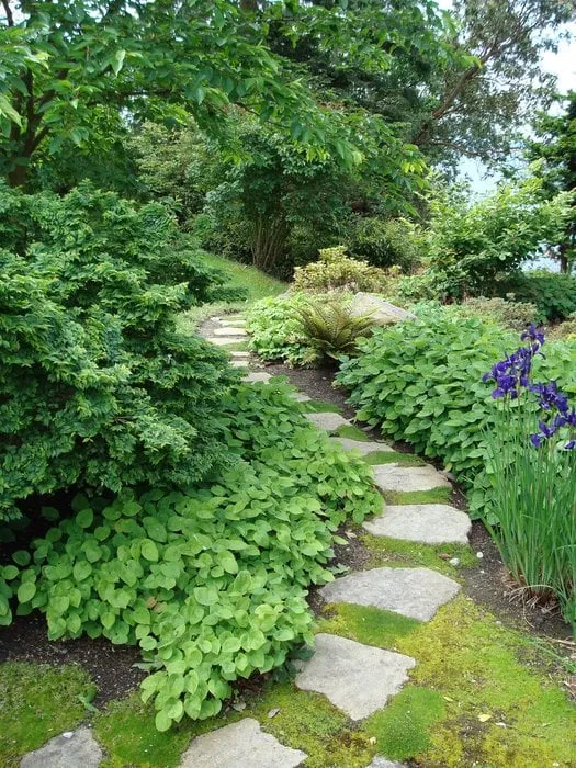 Custom yard maintenance for homes across Seattle, WA - Vertumni Fine Landscaping & Gardening