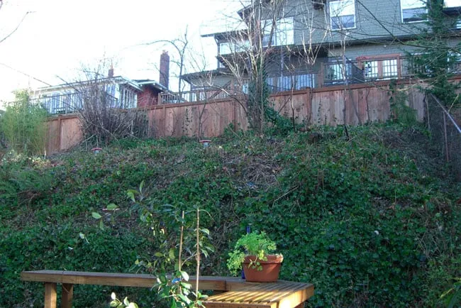 Trusted yard maintenance in Seattle, WA - Vertumni Fine Landscaping & Gardening