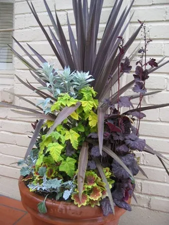 Affordable landscaping services in Seattle, WA by Vertumni Fine Landscaping & Gardening