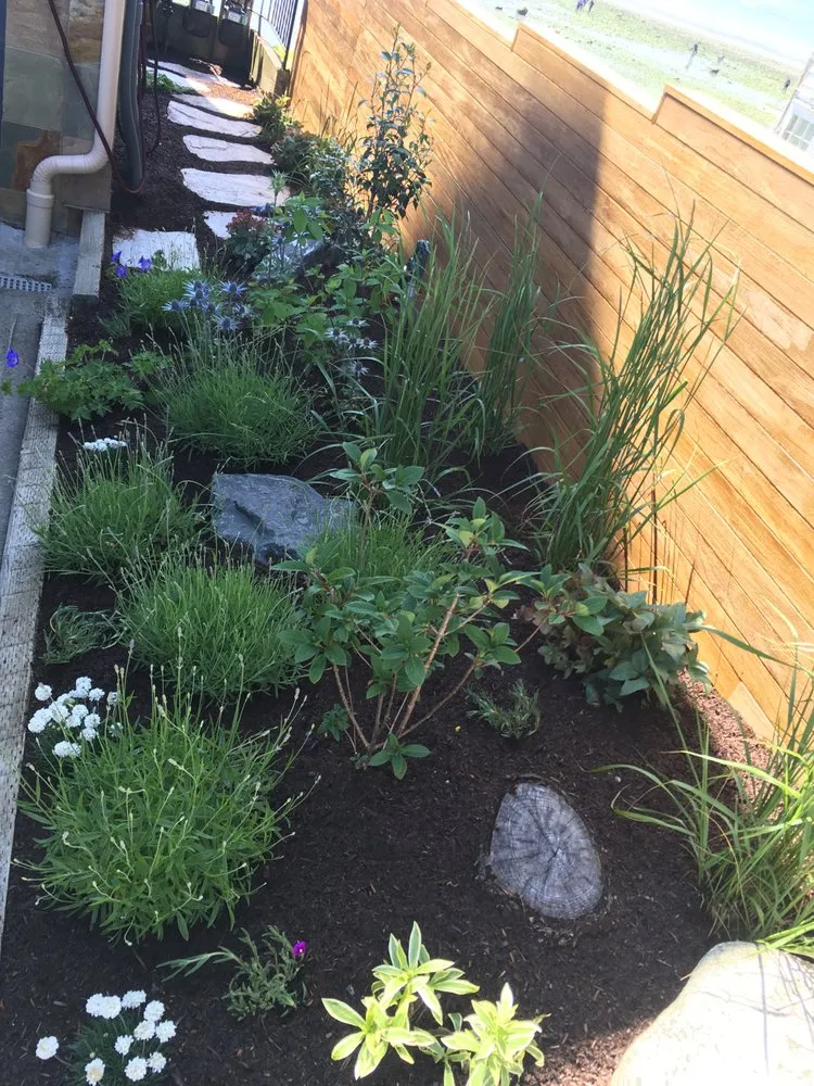 Trusted residential landscaping for year-round maintenance across Seattle, WA - Vertumni Fine Landscaping & Gardening