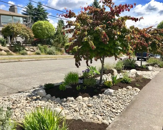 Local landscaping services experts serving Seattle, WA - Vertumni Fine Landscaping & Gardening