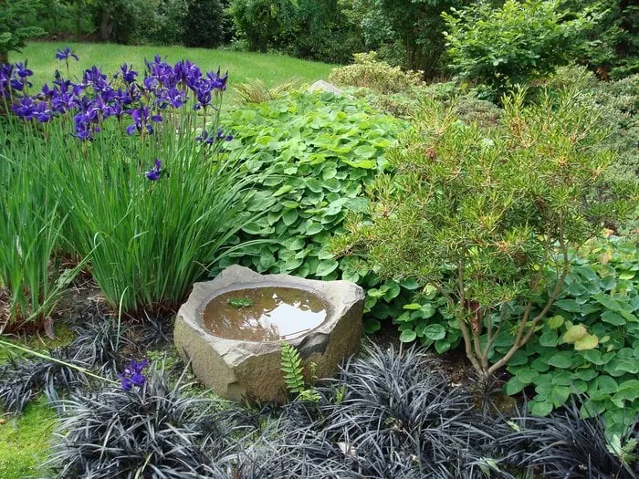 Custom landscaping services experts serving Seattle, WA - Vertumni Fine Landscaping & Gardening
