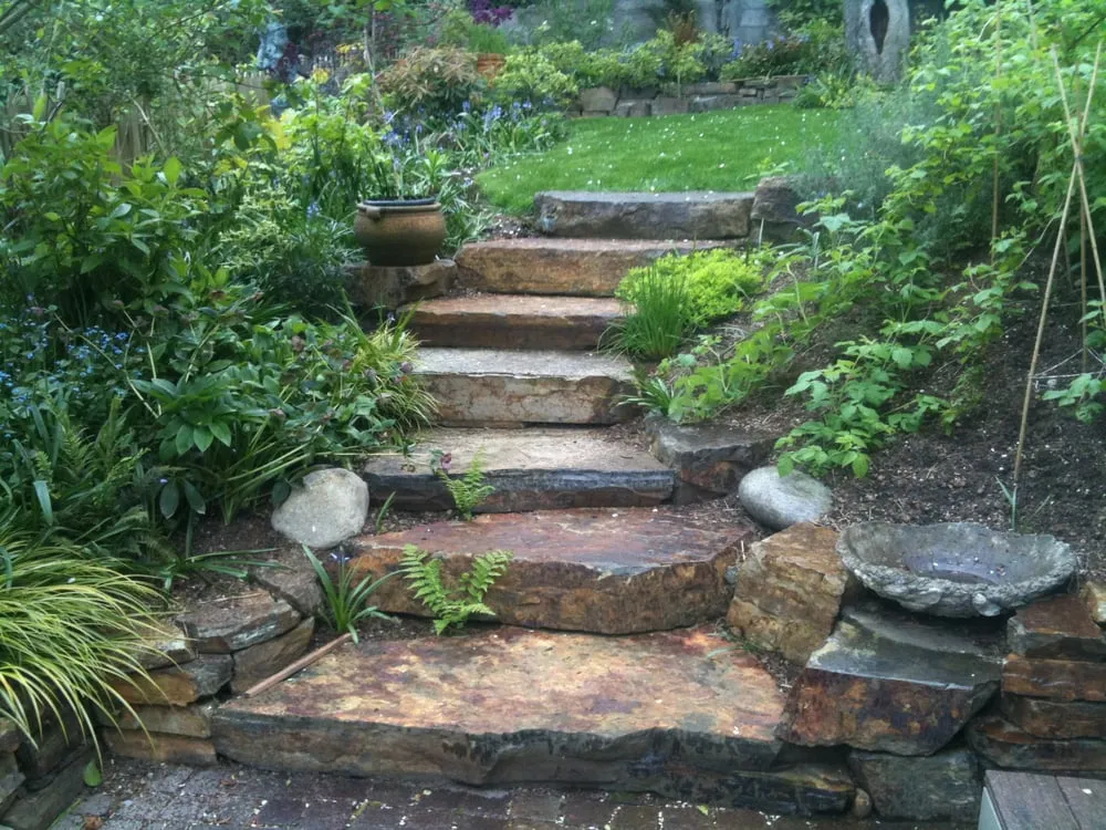 Trusted yard cleanup service in Seattle, WA - Vertumni Fine Landscaping & Gardening