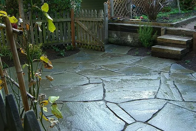 Top-rated landscaping services in Seattle, WA by Vertumni Fine Landscaping & Gardening