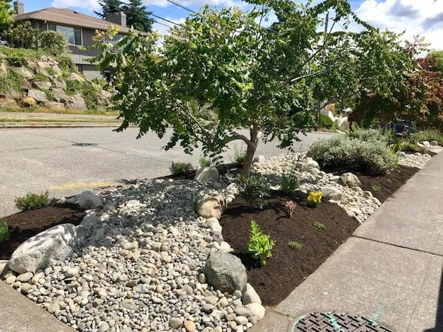 Professional residential landscaping for year-round maintenance in Seattle, WA by Vertumni Fine Landscaping & Gardening