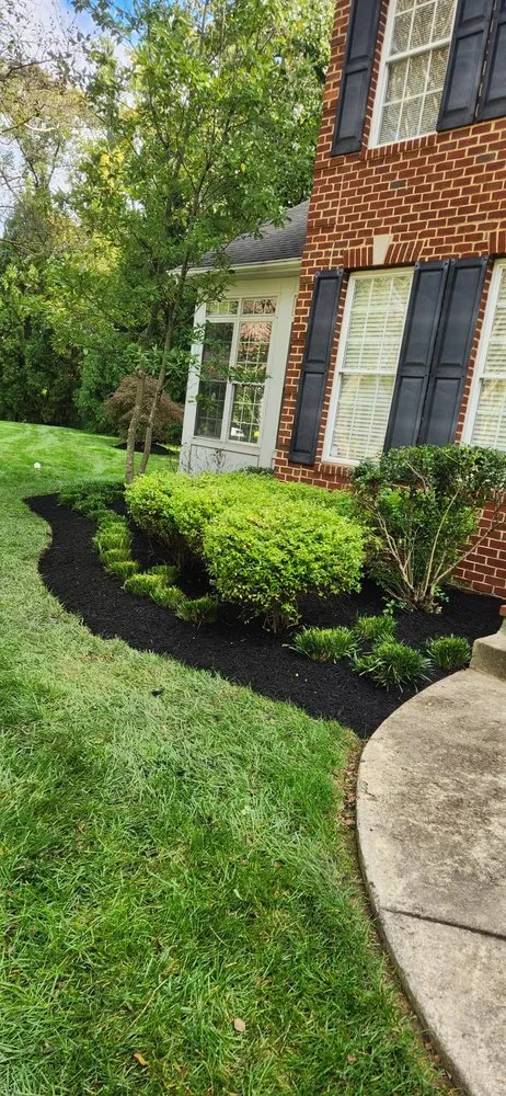 Professional yard cleanup service in Cape Saint Claire, MD - Very Green