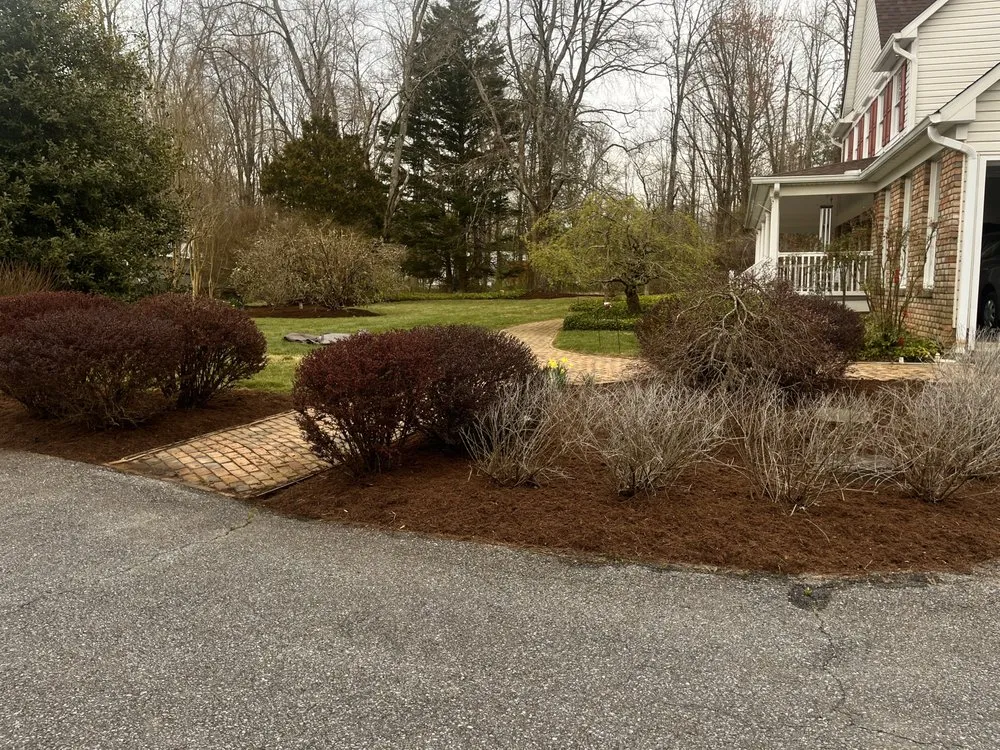 Professional yard cleanup service experts serving Cape Saint Claire, MD - Very Green