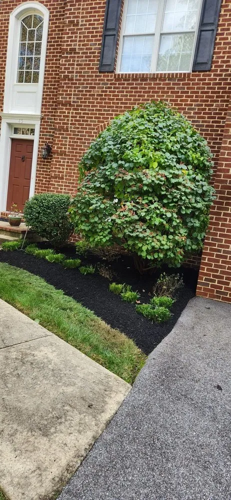 Custom lawn care service in Cape Saint Claire, MD - Very Green