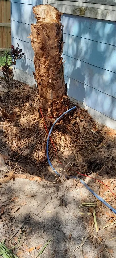 Top-rated landscape installation near you in St. Petersburg, FL by Veryvividglaze Landscaping