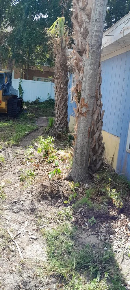 Reliable landscaping services near you across St. Petersburg, FL - Veryvividglaze Landscaping