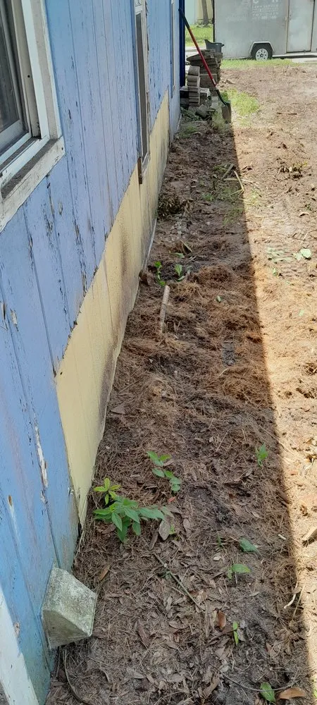 Trusted landscape installation in St. Petersburg, FL - Veryvividglaze Landscaping