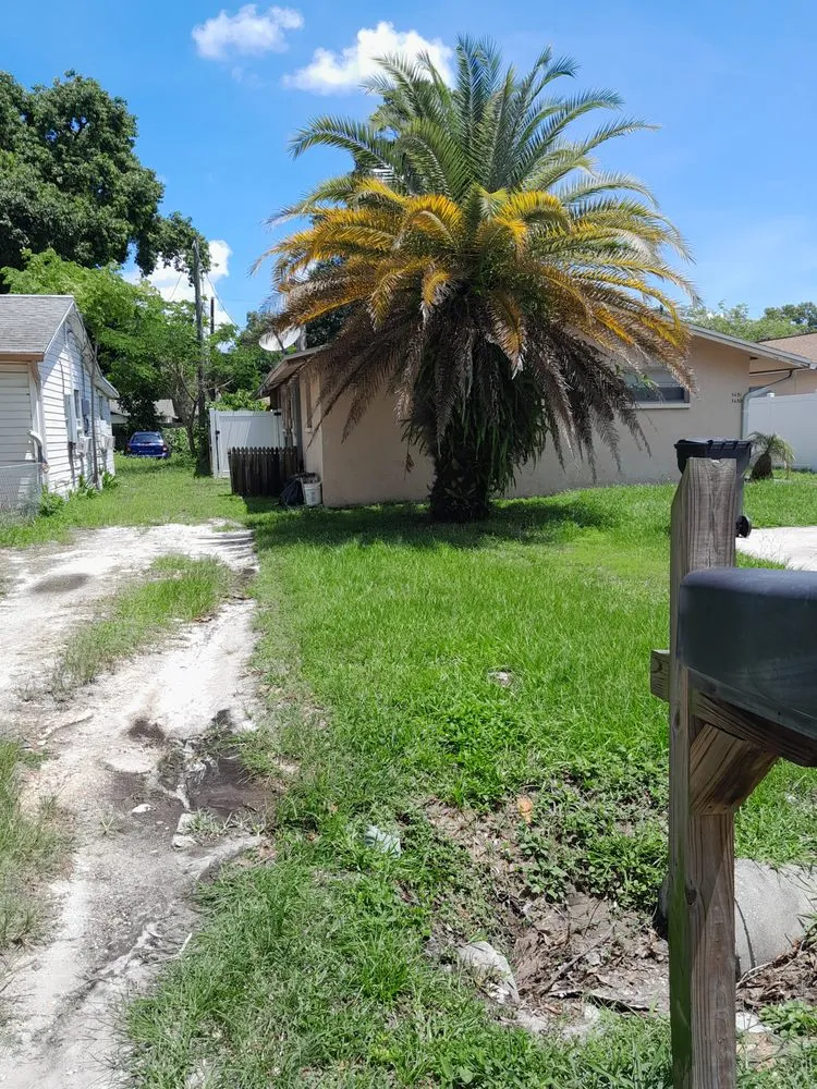 Custom landscaping services for homes in St. Petersburg, FL by Veryvividglaze Landscaping